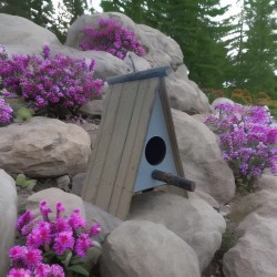 آشیانه پرنده چوبی دستساز کد 11