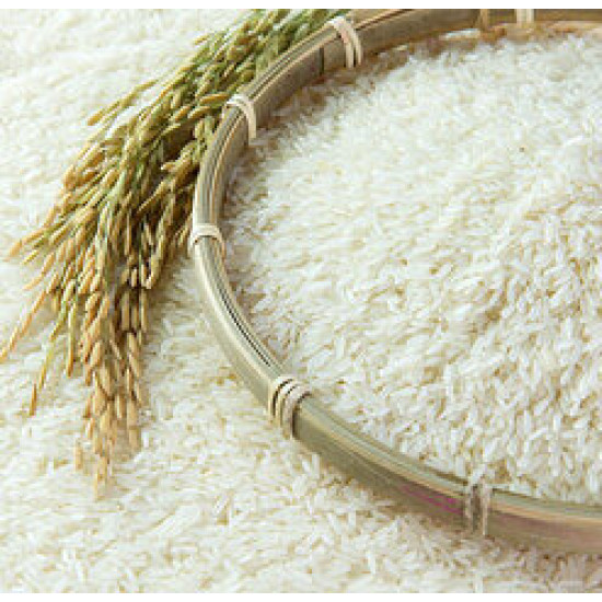 برنج ارزان شمال